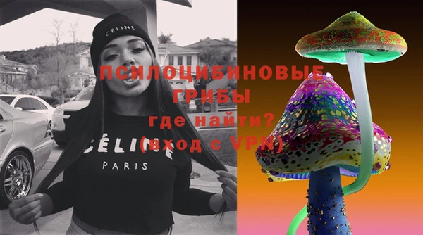 мдпв Майский